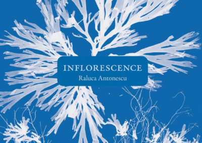 INFLORESCENCE, Raluca Antonescu
