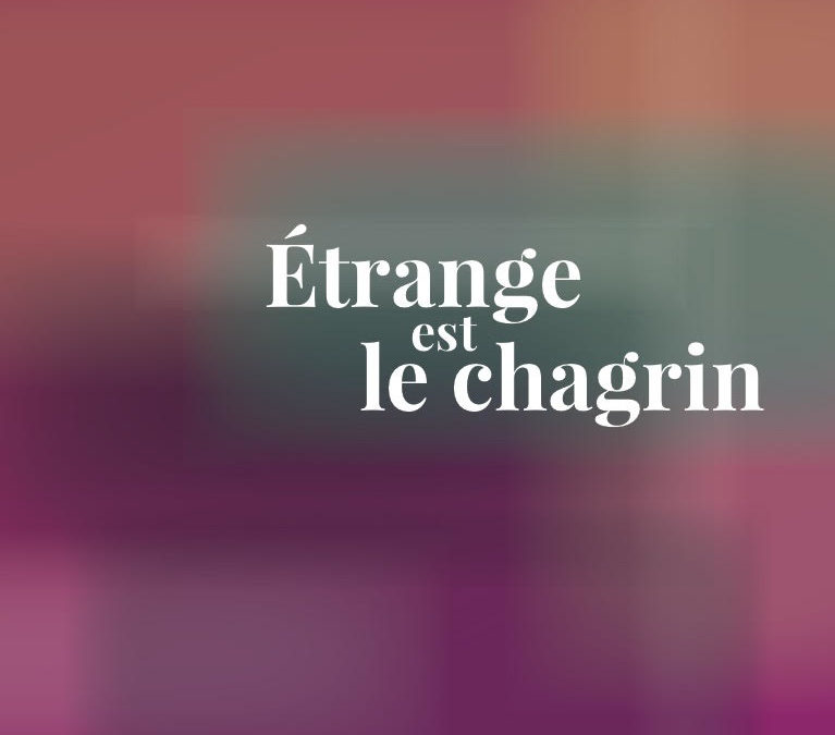 ÉTRANGE EST LE CHAGRIN, V.S. Naipaul