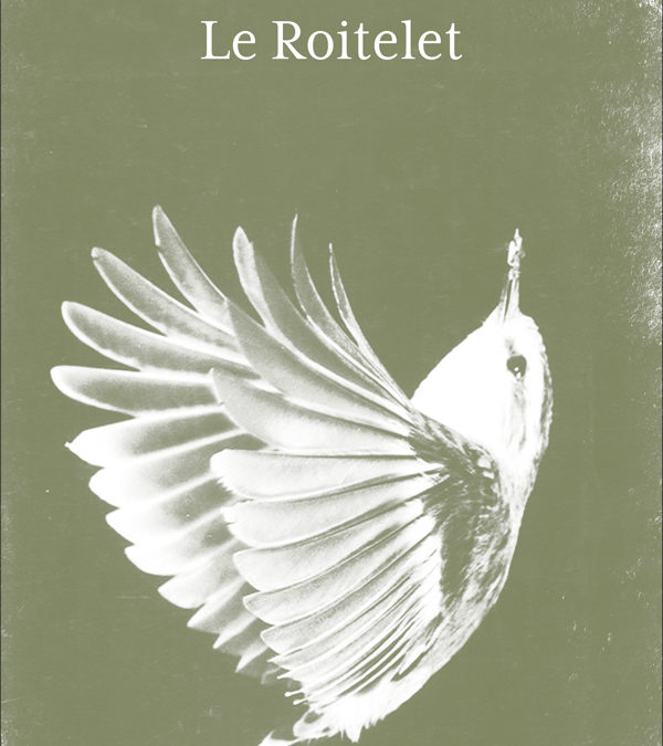 LE ROITELET, Jean-François Beauchemin
