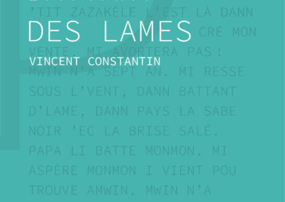 DANS LE BATTANT DES LAMES, Vincent Constantin