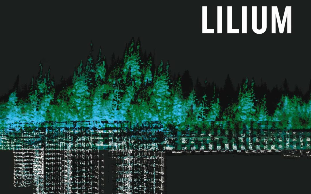 DOMAINE LILIUM, Michaël Blum