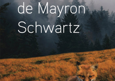 MÉMOIRES DE MAYRON SCHWARTZ, Jean-François Beauchemin
