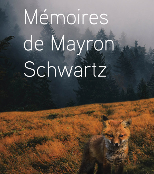 MÉMOIRES DE MAYRON SCHWARTZ, Jean-François Beauchemin