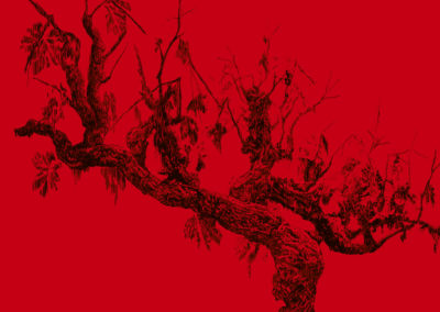 VERMEILLE, Florence Jou