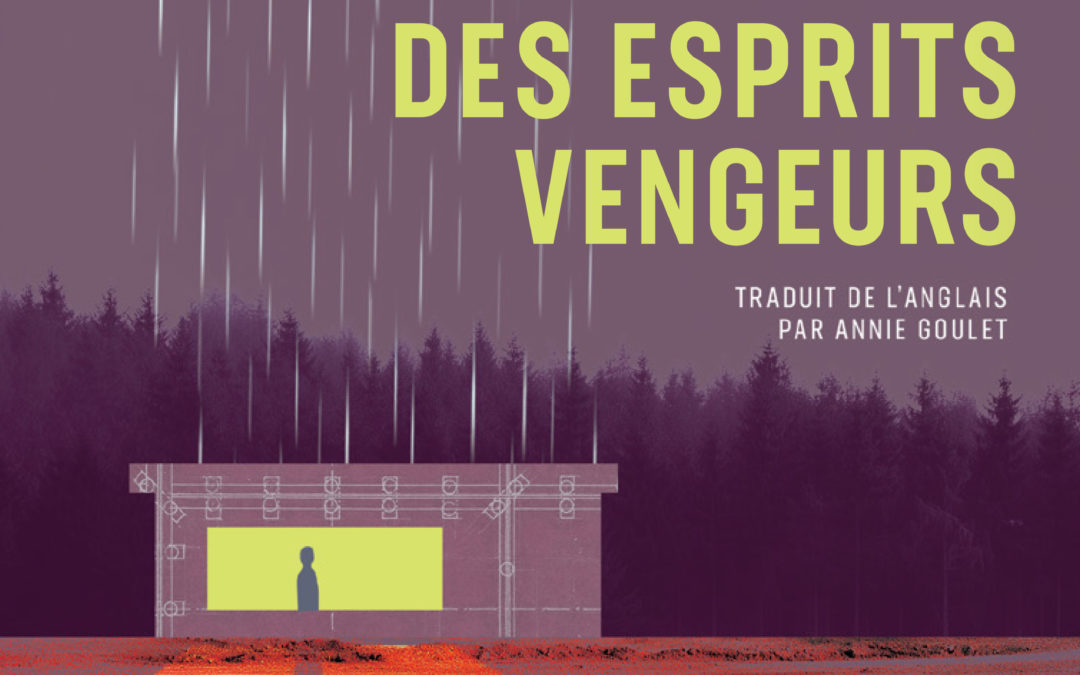 LA VALLÉE DES ESPRITS VENGEURS, Kim Fu